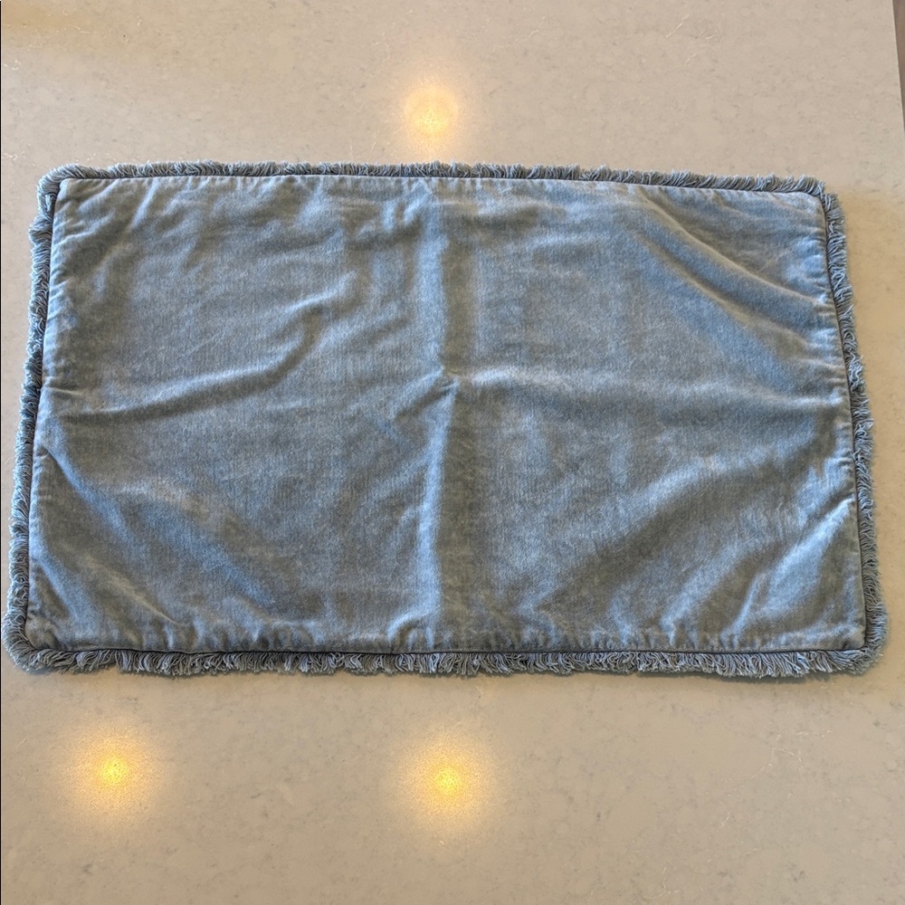 Pottery Barn velvet pillow cover